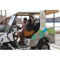 explore malta in a self drive electric car tour