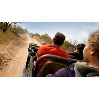 Explore Kruger & Victoria Falls