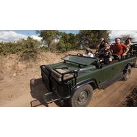 explore cape town kruger national park