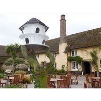 Exmoor Owl & Hawk Centre