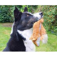 Extra-Long Stuffing-Free Pet Toys (2)