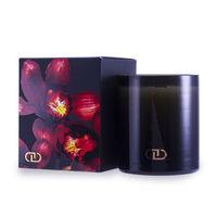 Exotic Multisensory Candle with Ecowood Wick - Ashiki 170g/6oz