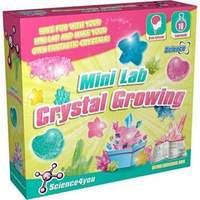 (exp) Mini Lab - Crystal Growing