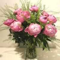 Extra Large Peonies