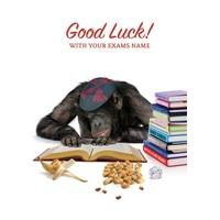 exams personalised good luck card