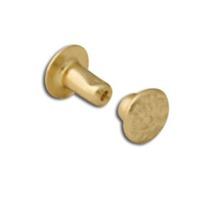 Extra Small Brass Plated 100 Pack Of Textured Rapid Rivets