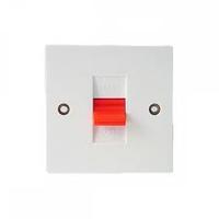 Exclusive moulded 50A 1 gang DP plate switch