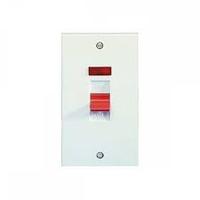 Exclusive moulded 50A 2 gang DP plate switch & neon