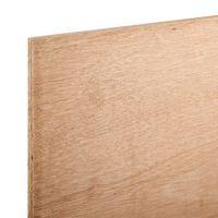 Exterior Plywood Board (Th)18mm (W)607mm (L)1220mm Pack 2