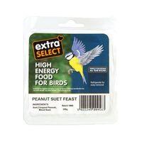 Extra Select Suet block peanut