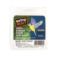 Extra Select Suet block berry