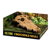 exo terra crocodile skull