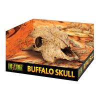 Exo Terra Buffalo Skull