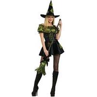 Extra Small Adult\'s Witch Costume