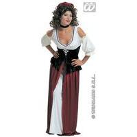 Extra Large Women\'s Tavern Wench Costume