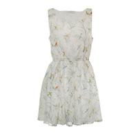 Exotic Bird Print Dress