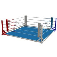 Exigo Boxing Ring Floor Mounted