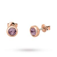 Exclusive Rose Gold Sina Purple Stud Earrings