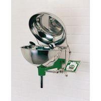 EYE/FACE WASH UNIT WITH LID, WALL MOUNTED