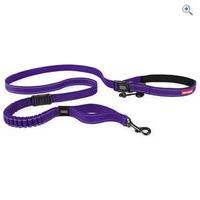 ezydog road runner lead colour purple