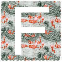 F is For Flamingo By Clare Halifax