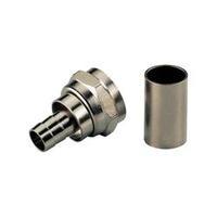 F crimp plug Nickel-plated brass
