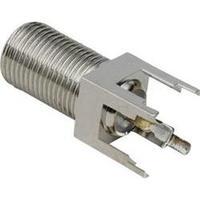 F-socket Nickel-plated brass