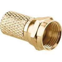 F-STECKER 8, 2 MM VERGOLDET