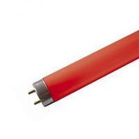 F18w - T8 Triphosphor Fluorescent Tube 2ft 18W RED