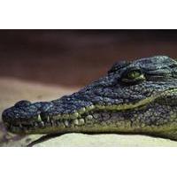 Faunia Animal Park & Aquarium Ma...