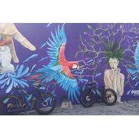 Fat Bike Graffiti and Art Tour in Puerto Vallarta