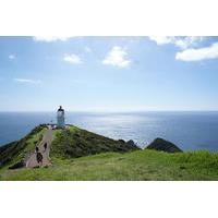 Far North New Zealand Tour including 90 Mile Beach and Cape Reinga from Paihia