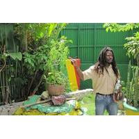 Falmouth Shore Excursion: Bob Marley Experience