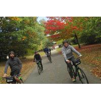 fall foliage bike ride in boston