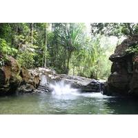 Family Trekking in Langkawi