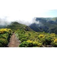 Fanal Assobiadores - Levada Walk