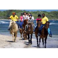 Falmouth Shore Excursion: Braco Stables Horseback Ride and Swim