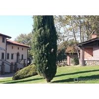 FATTORIA DI BELVEDERE