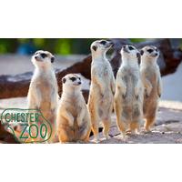 Family of 2 Feb - Oct Chester Family Stay & Zoo Entry
