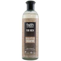 Faith In Nature Mens Ginger & Lime Shampoo - 400ml