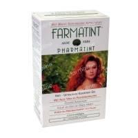 Farmatint Chestnut Dark 3N 120 m...