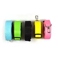 Fashion New Style 2.5cm Pet Running Chain Nylon Waistband Cat Dog Collar Leash Portable Dog Harness