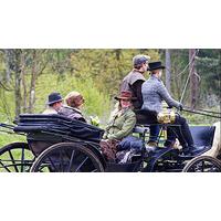 Family Horse Drawn Carriage Ride and Country Picnic