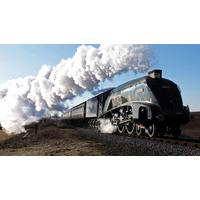 Family Steam Trip in Hampshire