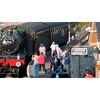 Family Steam Train Trip in Somerset
