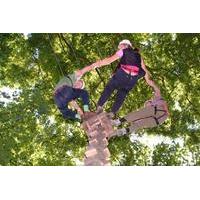 Family High Ropes Experience