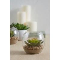 Faux Succulent Flat Plant, GREEN