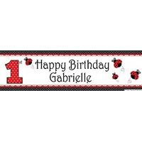 Fancy Ladybird 1st Birthday Personalised Party Banner