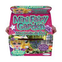 fairy garden mini dome terrarium