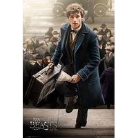 Fantastic Beasts & Where To Find Them Newt Scamander Movie Film Poster